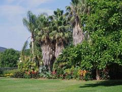 183 D35 PARC OLBIUS RIQUIER A HYERES_000059